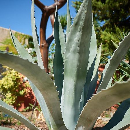 La Palme Jardin De Palme 아파트 외부 사진