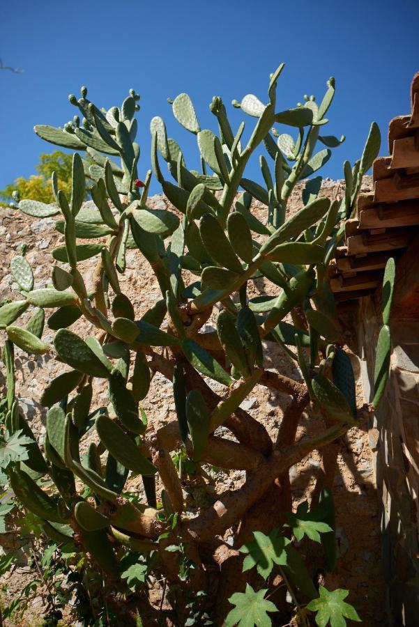 La Palme Jardin De Palme 아파트 외부 사진