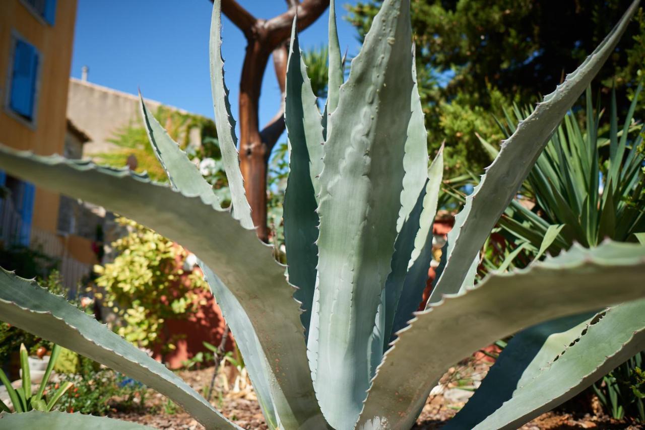 La Palme Jardin De Palme 아파트 외부 사진